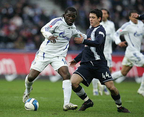 塔图姆和布 塔图姆和布